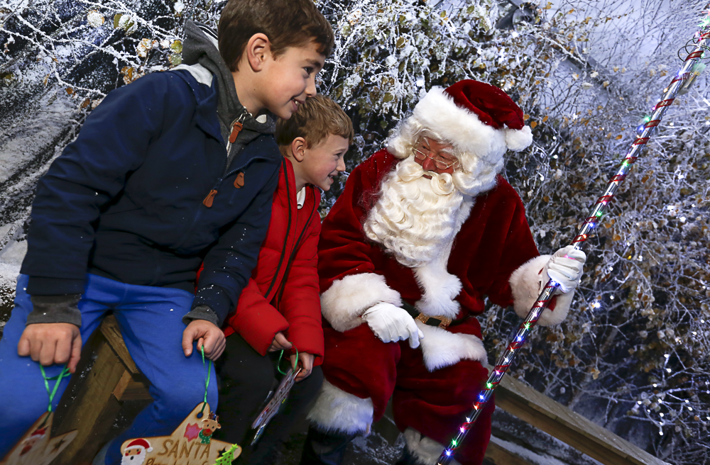 Lotherton Xmas experience
