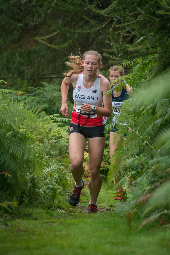 mountain run pic