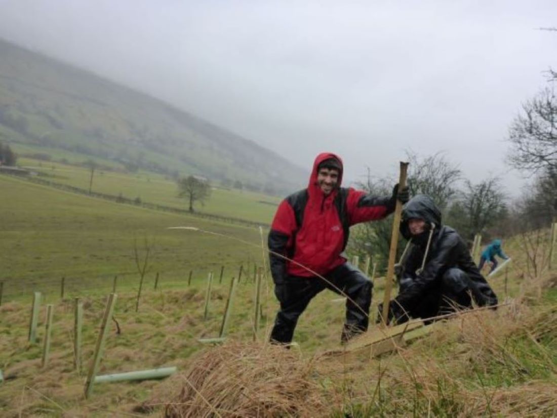 Cooper King tree planting 2