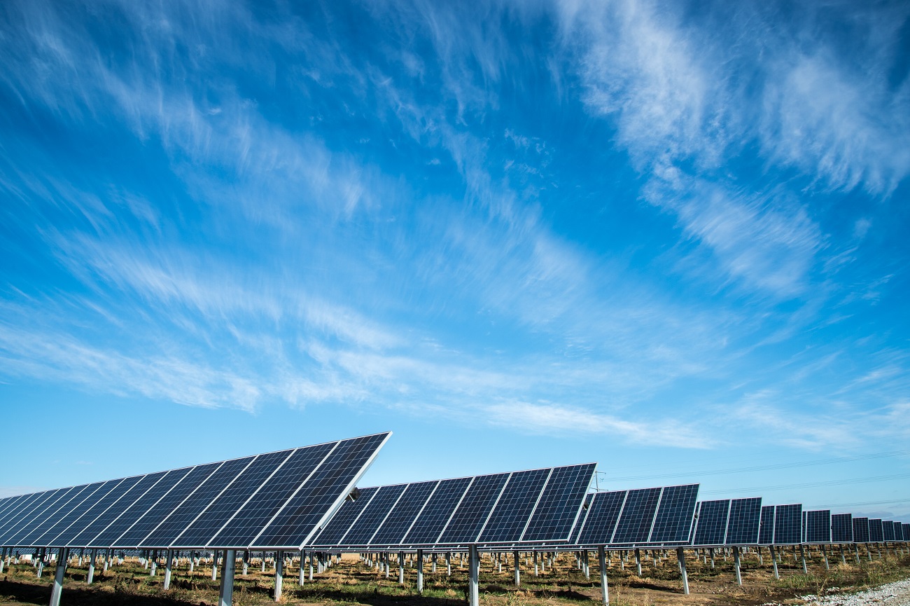 Solar farm (stock image)