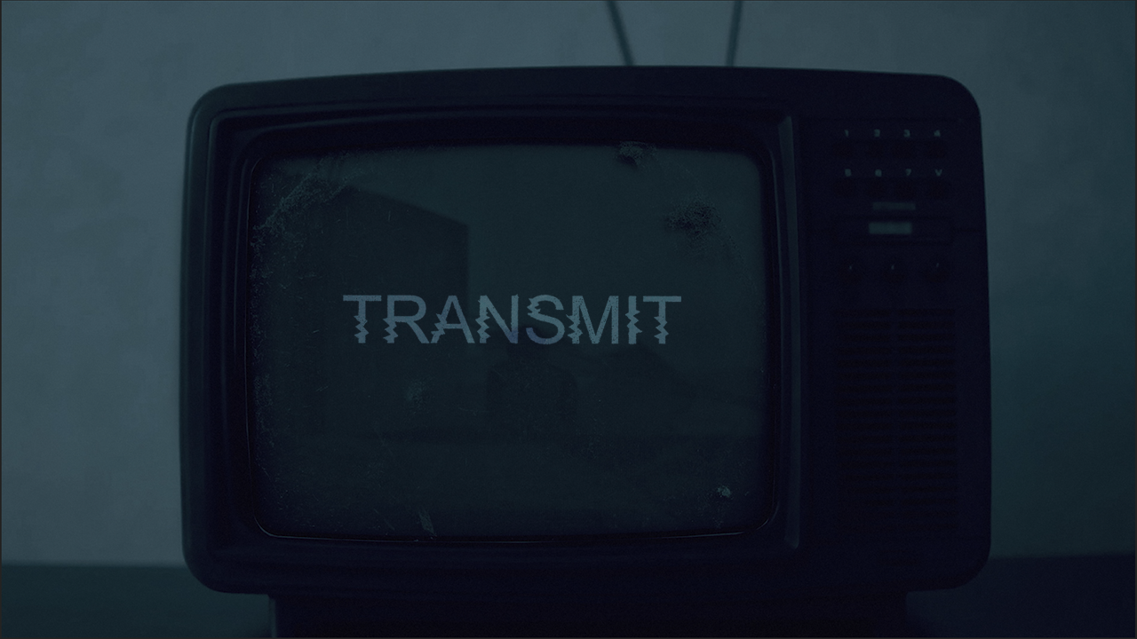 TRANSMIT online performance