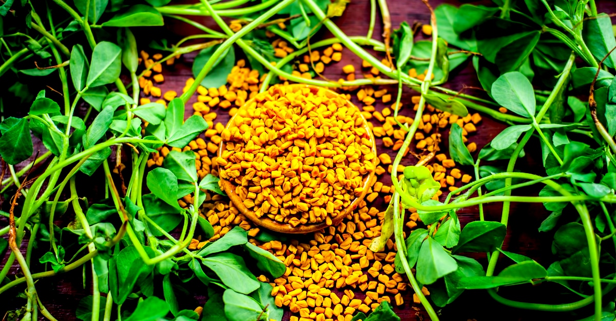 Fenugreek-Effect-Of-Increasing-Testosterone-f638cfd7