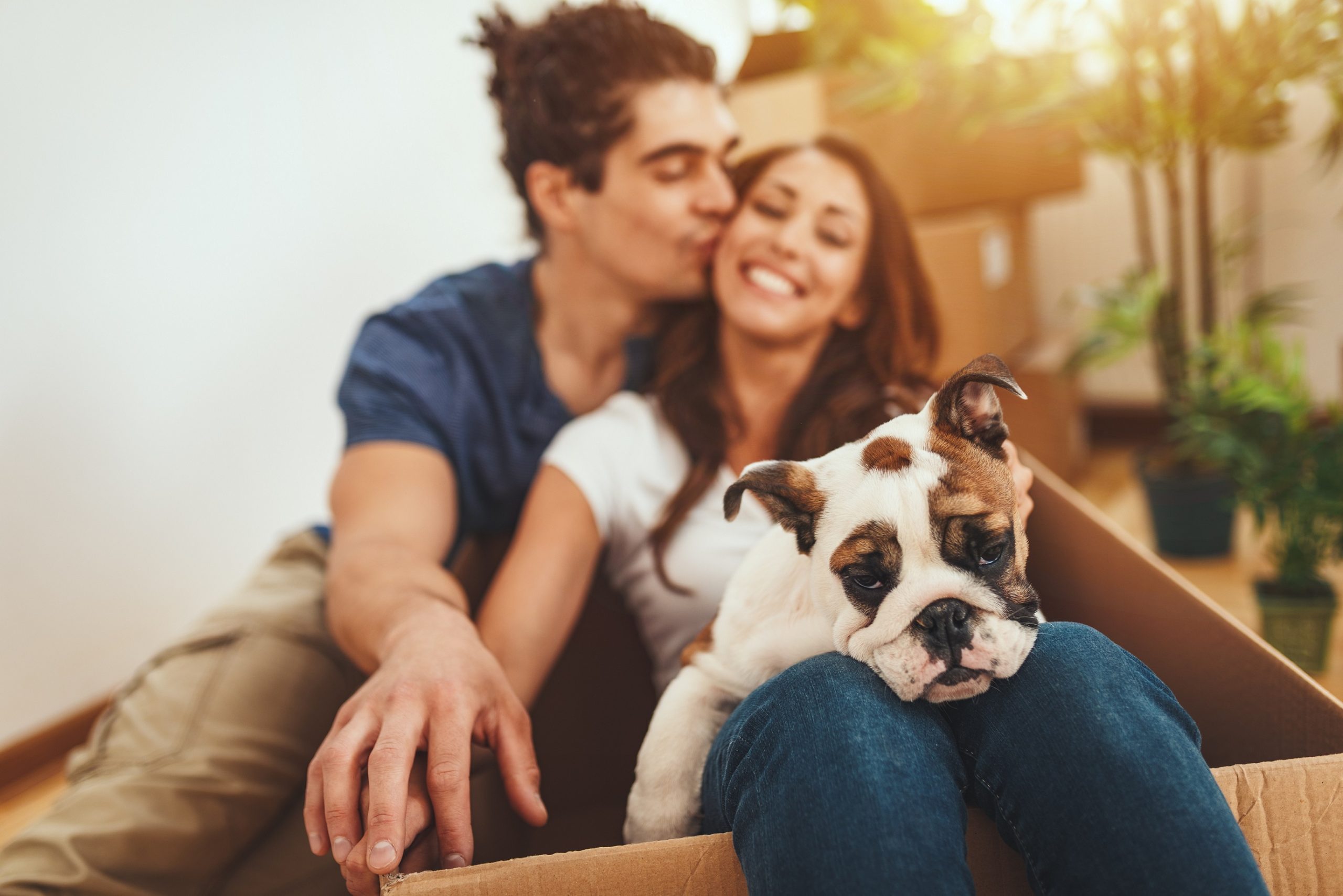 Couple with dog small-deb0ec64