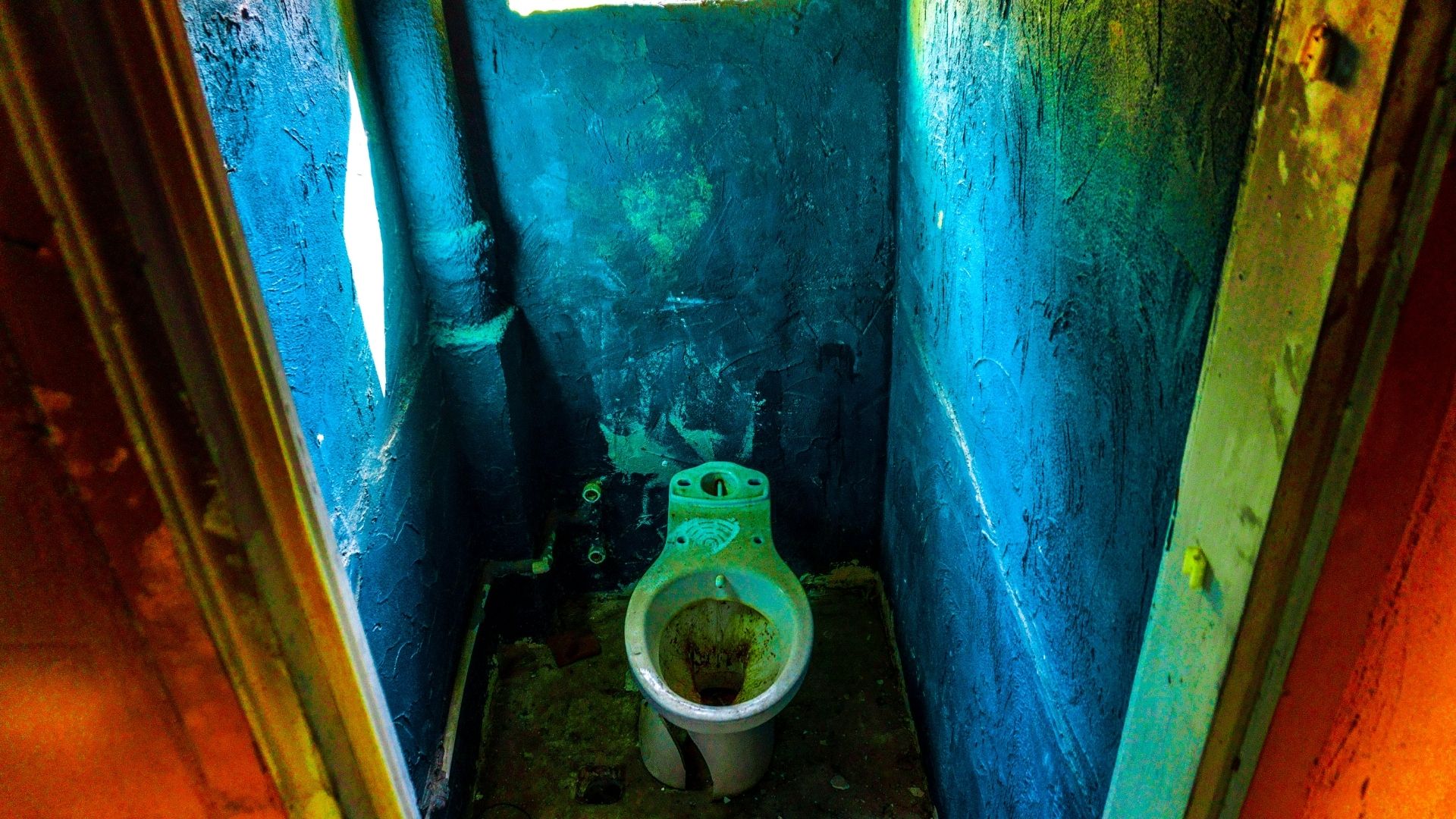 Dirty Toilet-fbc1a136