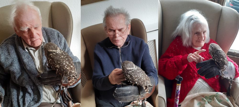 owls-longroyds-pilling-house